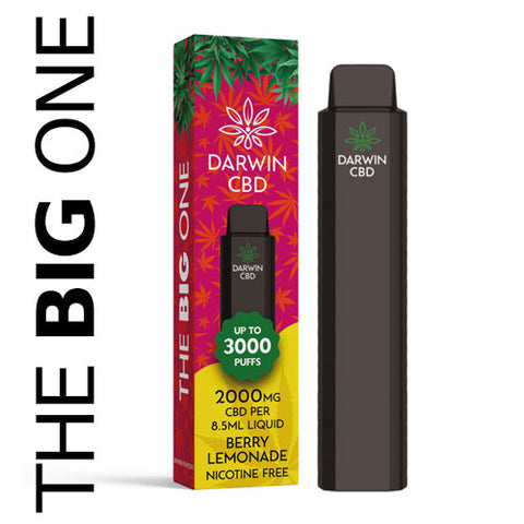 Berry Lemonade - 2000mg CBD - The BIG One - Darwin CBD