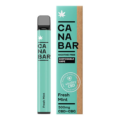 Fresh Mint - 500mg CBD + CBG - CANABAR Disposable
