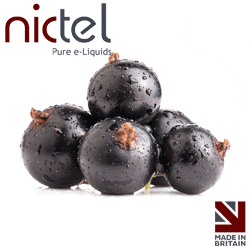 Blackcurrant - Nictel E-Liquid - CRAM Vape